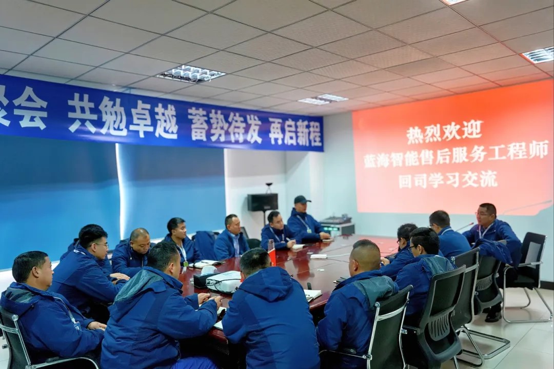 Обучение инженеров по послепродажному обслуживанию в LANHI по бурению горных пород успешно завершено в 2025 году!